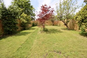 Garden- click for photo gallery